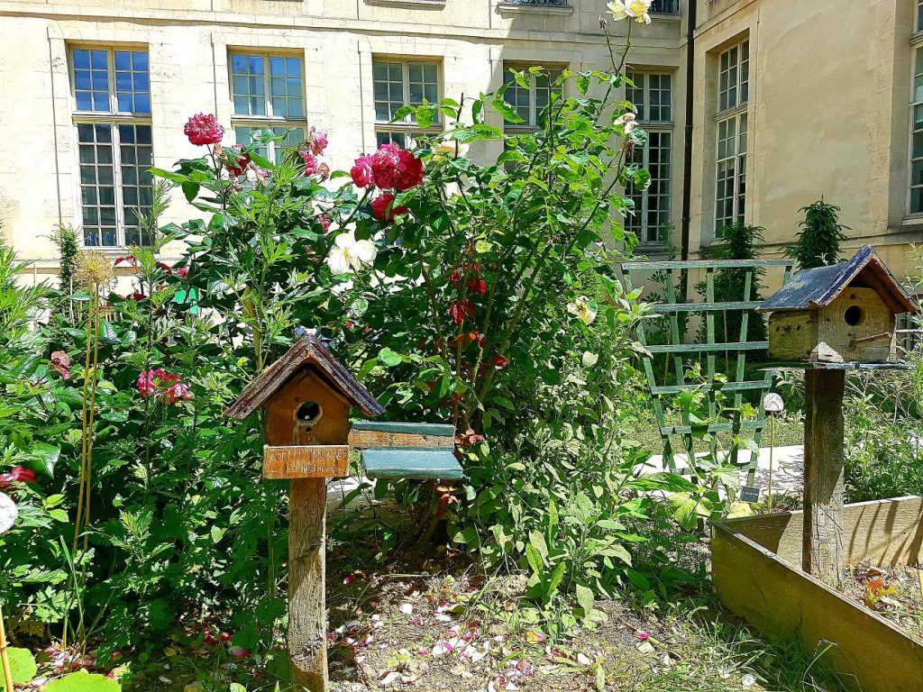 Potager du Jardin des Rosiers-Joseph-Migneret